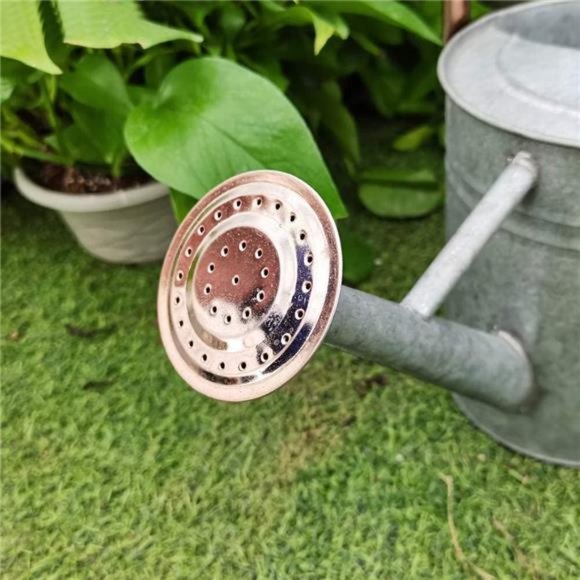 One Gallon Watering Cans Stainless Steel for Plants Watering (Zinc 1 Gallon) - Picture 6 of 7